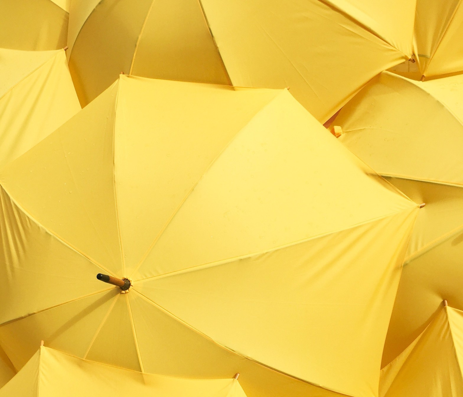 How to Get More Feedback. And Yes… You Really Do Want&nbsp;It